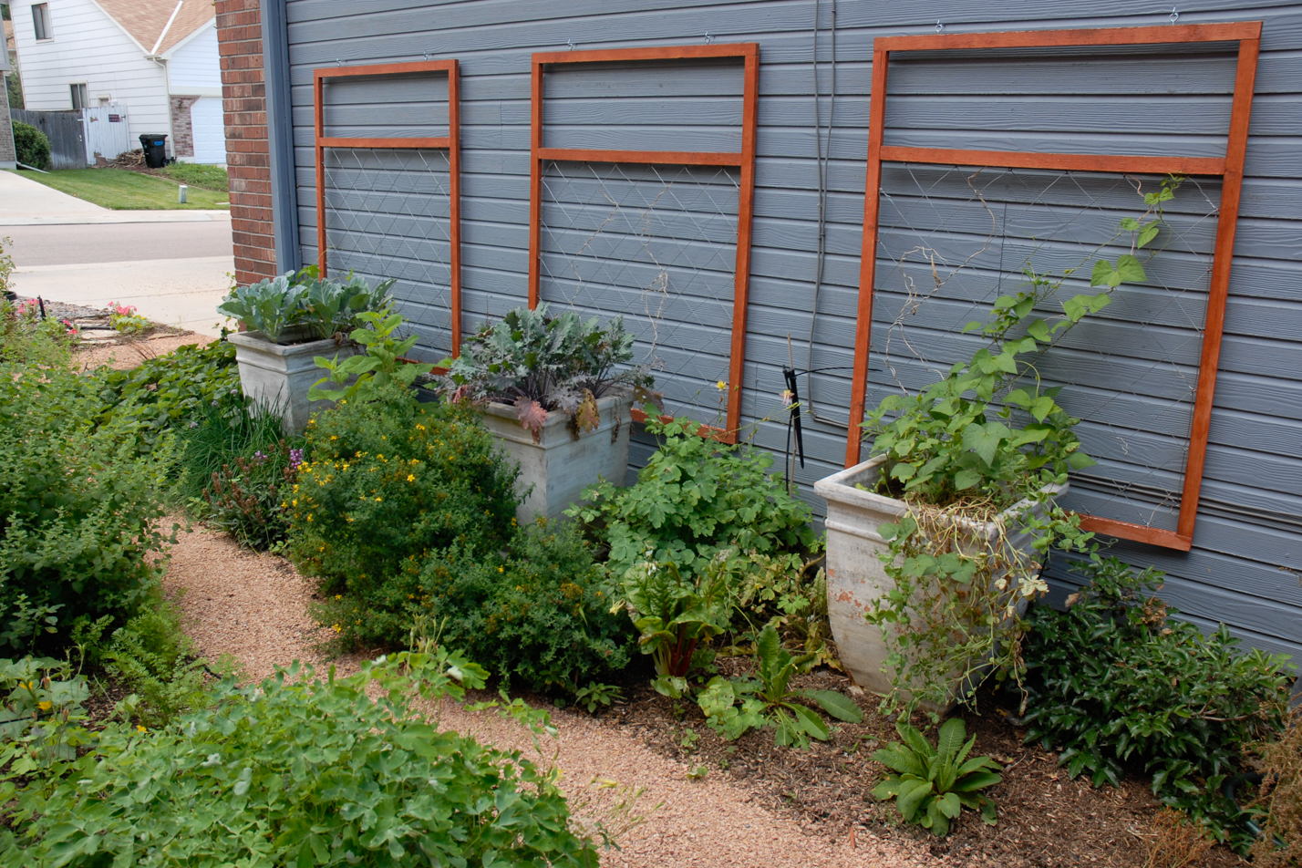 Terraced Turf Backyard